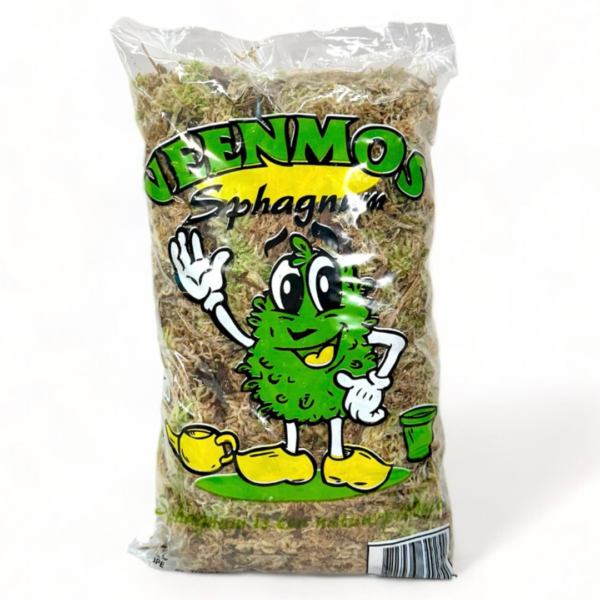 Sphaigne vivante fraîche 750g – bouturage