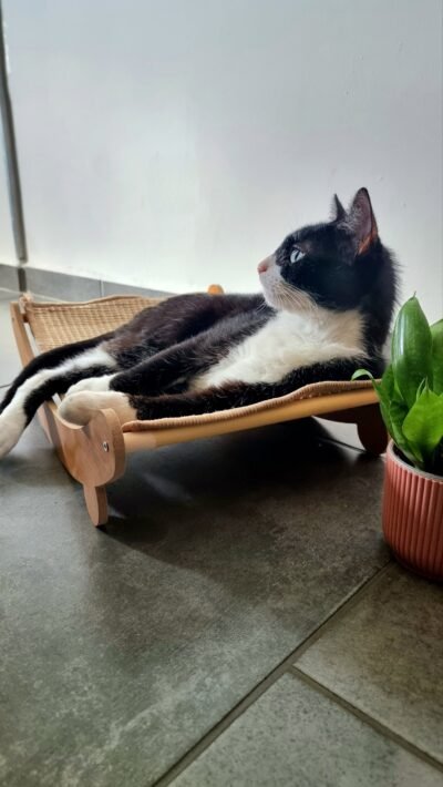 Lit griffoir pour chat en bois – Image 4