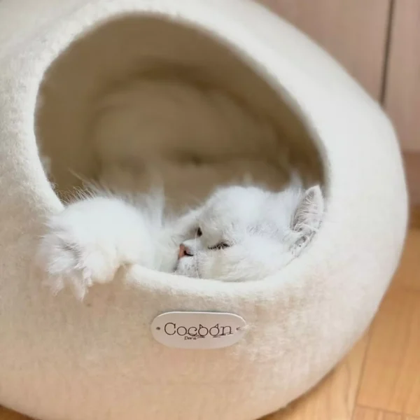 Cocon, niche pour chat quand ils ont froid