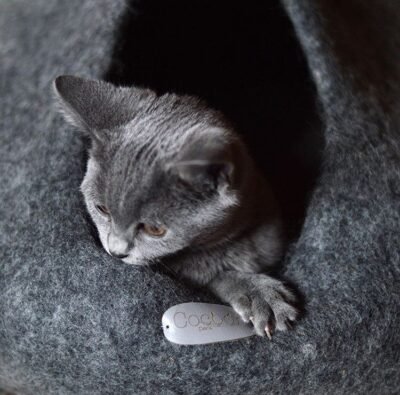 Le cocon pour chat est un couchage 100% laine prenant la forme d’un igloo. Esthétique, moelleux et chaud pour les chats