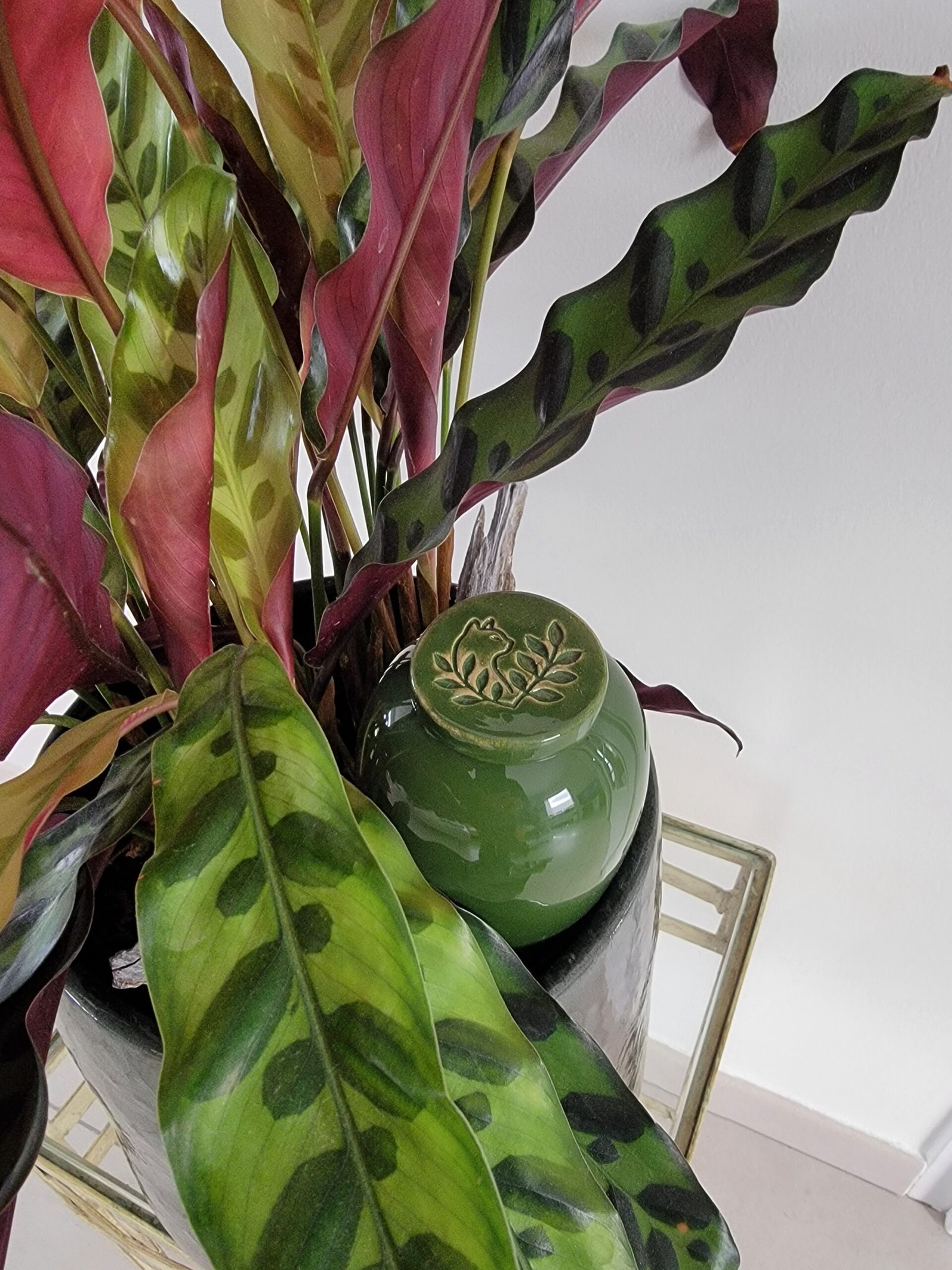 Olla en céramique vert sapin dans un pot de fleurs