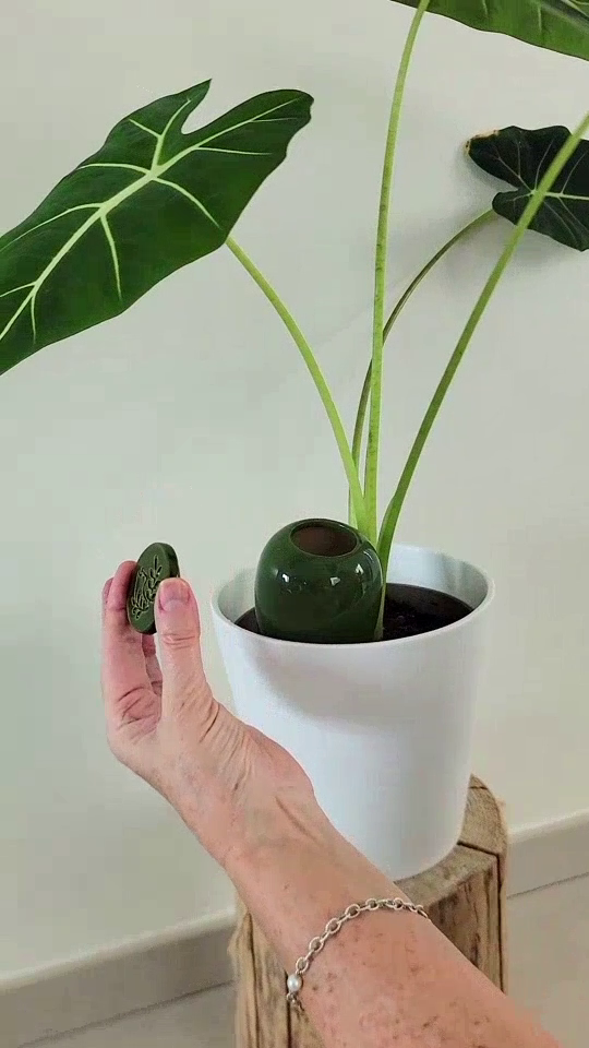 Olla a planter couvercle en ceramique à ouvrir