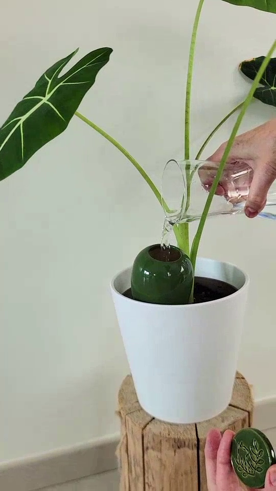 Olla a planter remplissage d'eau pour les vacances