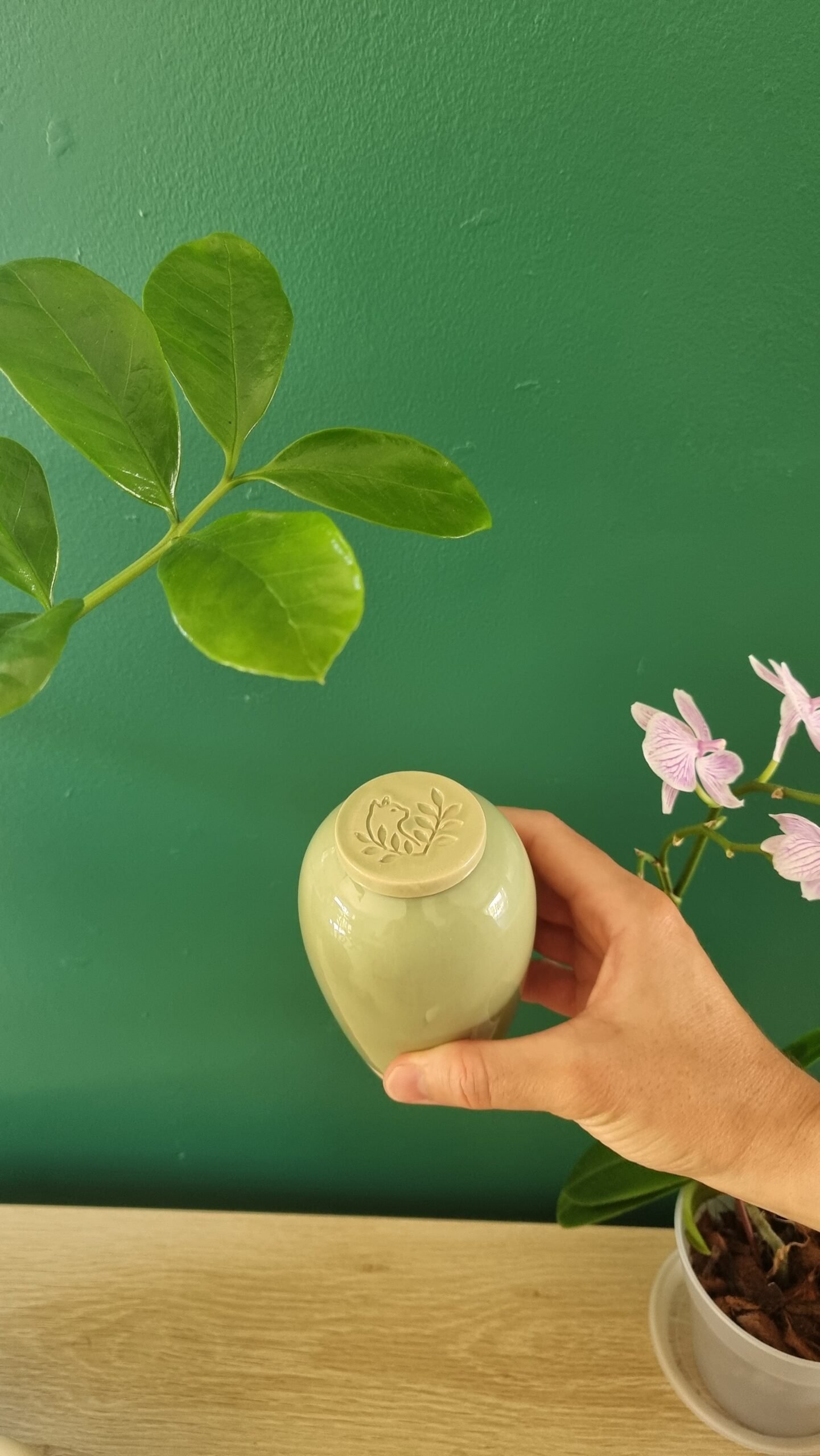 Olla à planter en céramique fait à la main coloris vert clair de la marque Catnopée