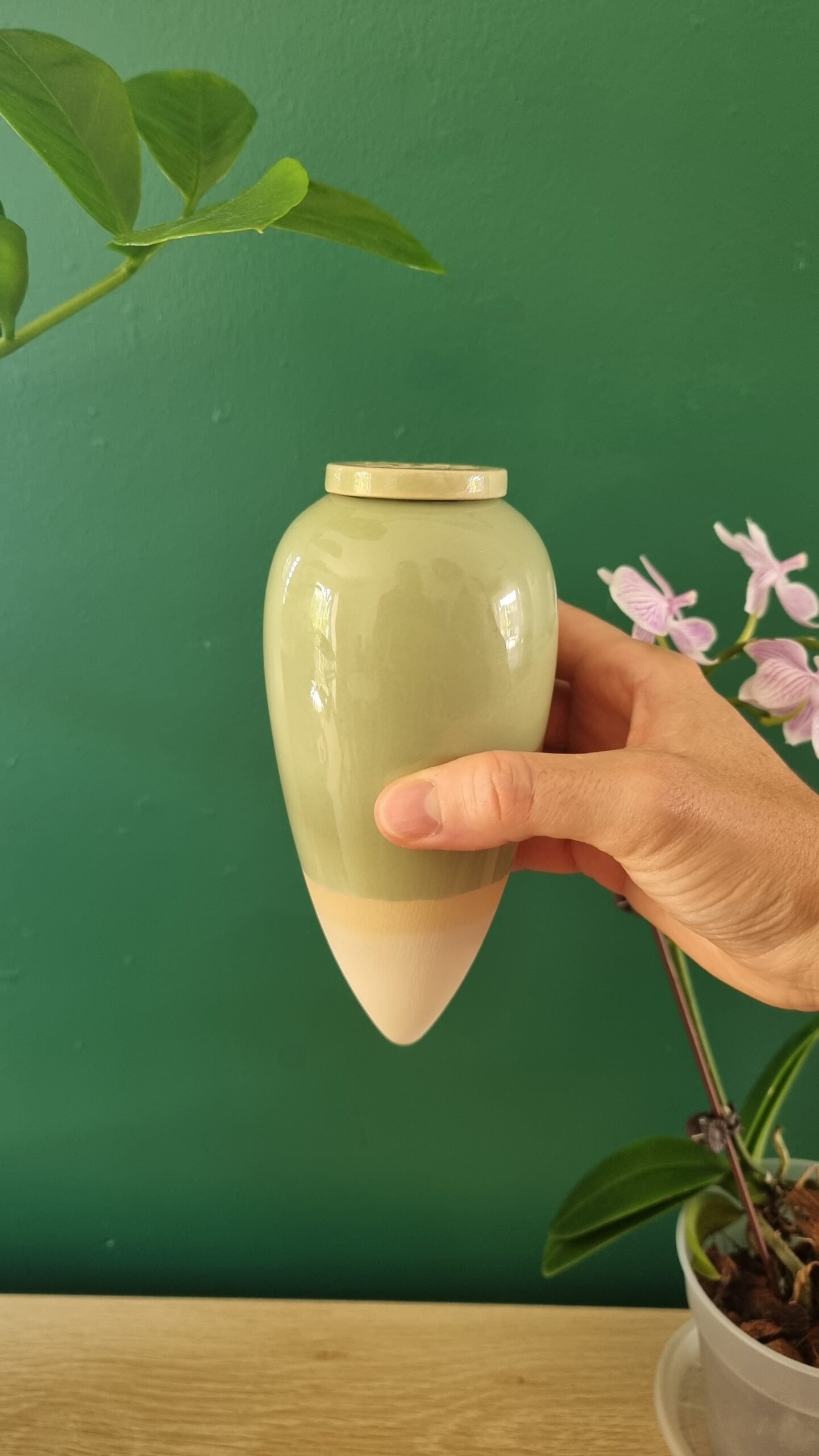 Olla à planter en céramique fait à la main coloris vert clair de la marque Catnopée