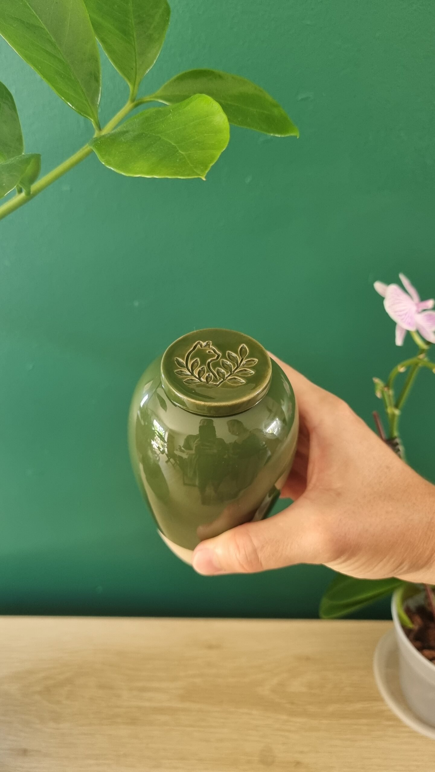 Olla à planter en céramique arrosage goutte à goutte de la plante fait à la main coloris vert sapin de la marque Catnopée