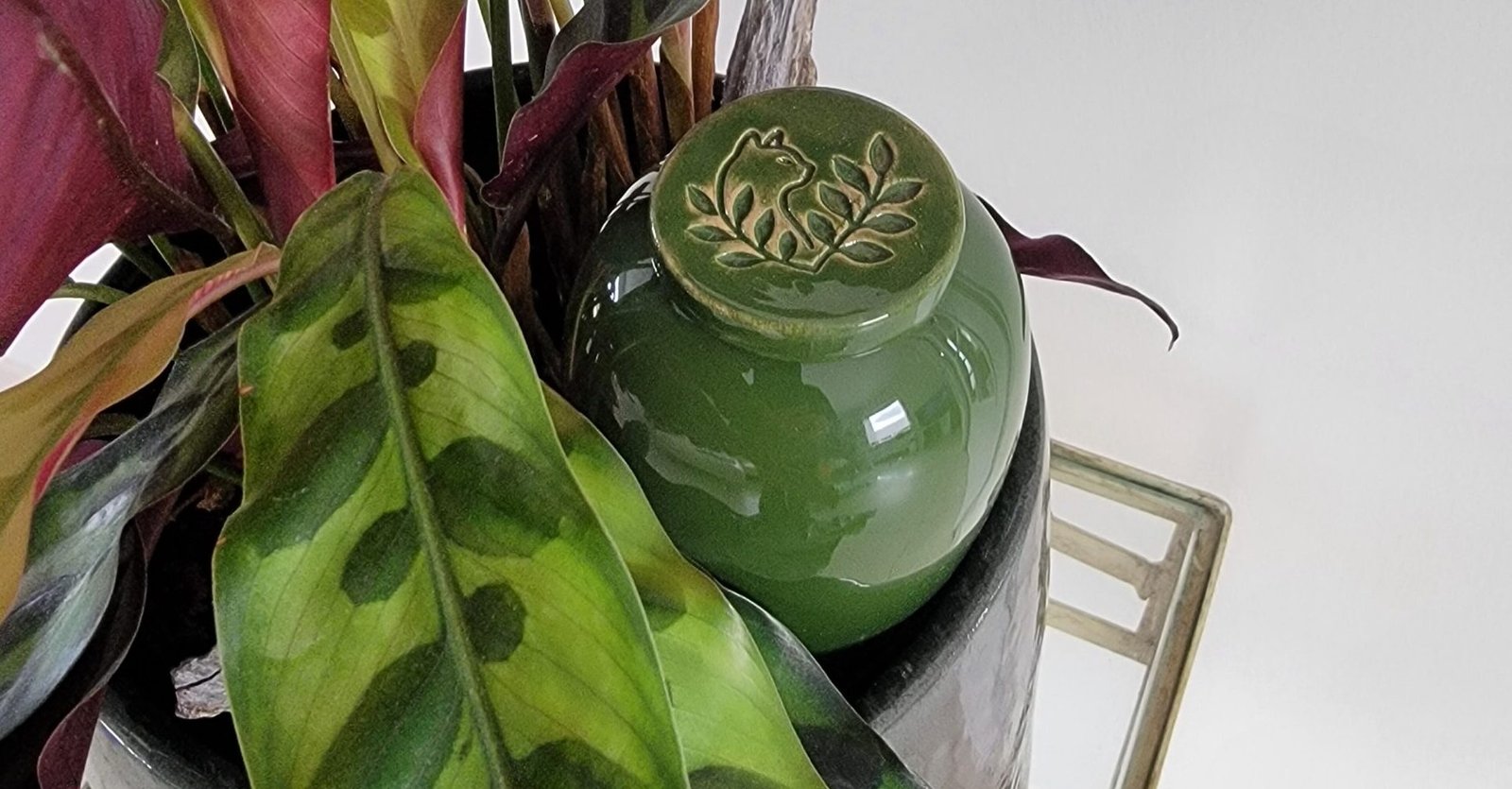 Olla en céramique vert sapin dans un pot de fleurs