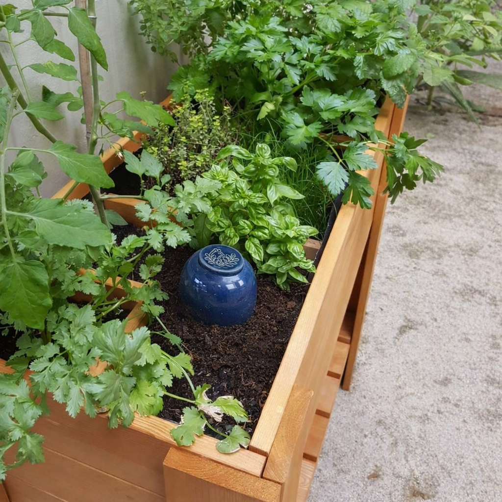 Olla à planter en carré potager Oya diffuseur automatique eau arrosage automatique potager départ vacances